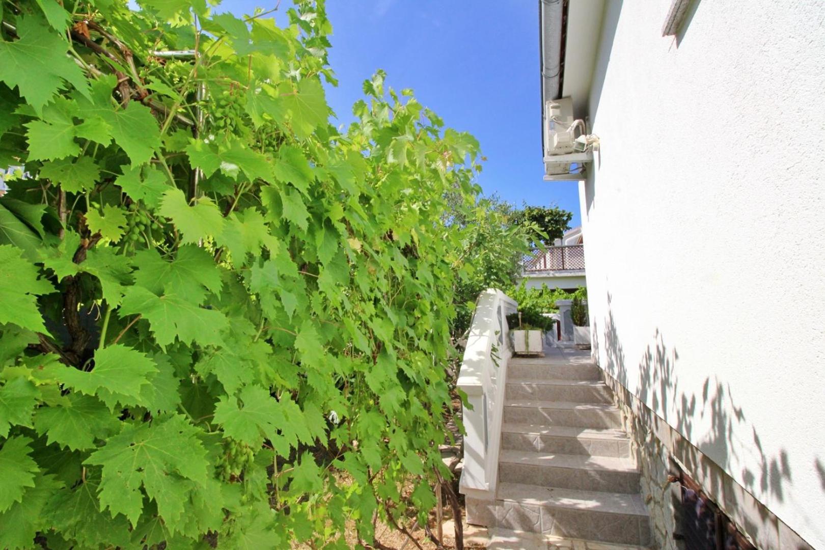 Apartments Zlatica Шіло Екстер'єр фото